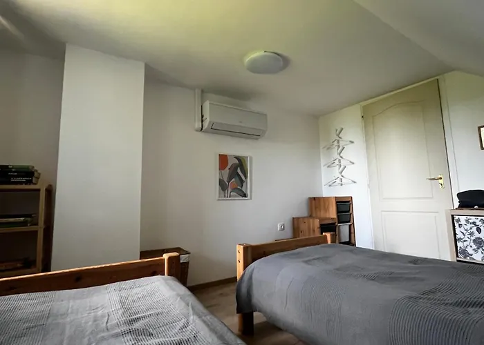 Levendulas 시글리게트